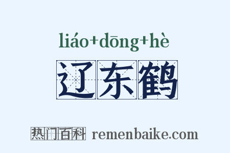 辽东鹤是什么意思的图片